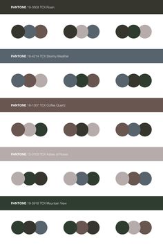 an info sheet with different colors and shapes for the design process, including circles in various sizes