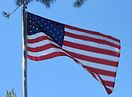 an american flag flying in the wind on a clear day with pine trees behind it