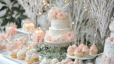 a table topped with lots of cupcakes and cakes