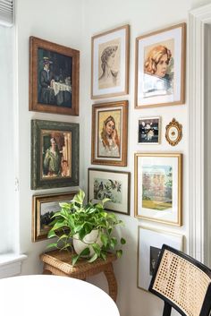 there are many pictures on the wall and a table in front of it with a potted plant