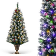 two artificial christmas trees with multicolored lights