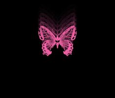 a pink butterfly is glowing in the dark