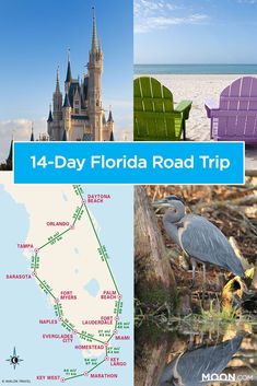 the florida road trip has many things to see and do