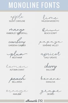 handwritten font with the words monoline font in different styles and colors on it