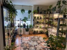 a room filled with lots of potted plants and greenery on shelves next to a window