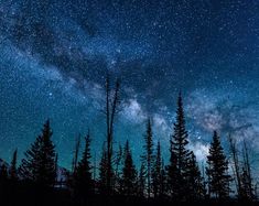 the night sky is filled with stars and clouds above some pine trees in the foreground