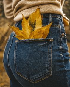 a woman's jeans with a leaf sticking out of the back pocket in front of her