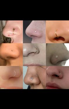 different types of nose piercings are shown