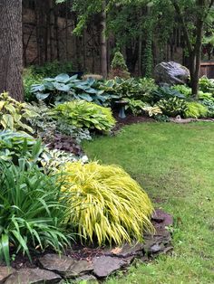 a garden with lots of different plants and trees