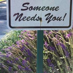 a sign that says someone needs you on the side of a road with purple flowers behind it