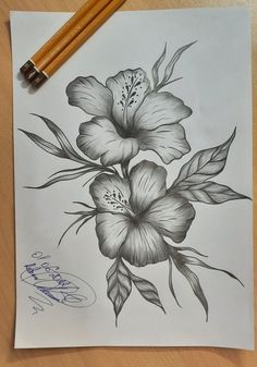 Pencil drawing of flowers Flower Pencil Sketches Simple, Realistic Plant Drawing, Charcoal Flower Drawing, Pencil Art Flowers, Drawings With Charcoal, Realistic Flower Drawing, Hibiscus Flower Drawing, Pencil Sketches Easy, Pencil Drawings Of Flowers