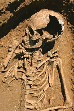 an image of a skeleton in the dirt that looks like it's been buried