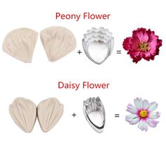 four different types of flower petals and flowers