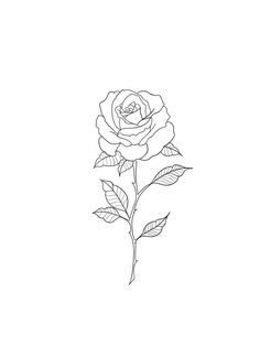 Envelope Tattoo, Hannah Tattoo, Borboleta Tattoo, Tiny Heart Tattoos, Rose Drawing Tattoo, Half Sleeve Tattoos Drawings, Card Tattoo Designs, Becoming A Tattoo Artist, Ear Tattoo Ideas