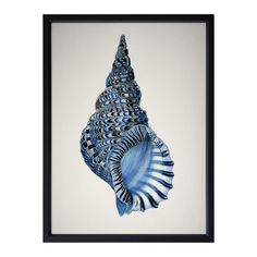 a blue sea shell is hanging in a black frame on a white wall and it's shadow