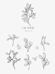 an image of some flowers that are drawn in ink on white paper with the words graphic