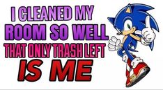 sonic the hedgehog saying i cleaned my room so well that only trash left is me