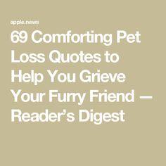 69 Comforting Pet Loss Quotes to Help You Grieve Your Furry Friend — Reader’s Digest Quotes About Animals Passing, Dog Farewell Quotes, Pet Grievance Quotes, Dogs Best Friend Quotes, When You Lose Your Dog, Pet Sympathy Quotes Cat, Sayings For Loss Of Pet, Dog Bereavement Quotes, Poem About Dogs Passing