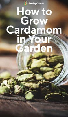 a jar filled with green cardamon seeds on top of a wooden table