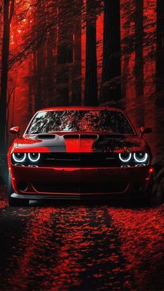 a red sports car parked in the middle of a forest with trees on both sides