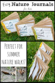 an easy nature journal for kids perfect for summer nature walks