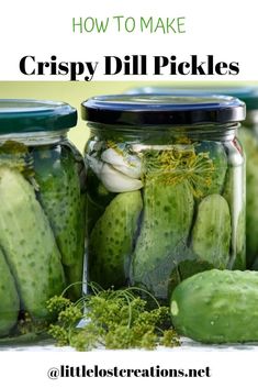 pickles in jars with the title how to make crispy dill pickles