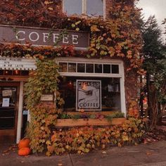 a coffee shop with ivy growing on the side of it's building and pumpkins outside