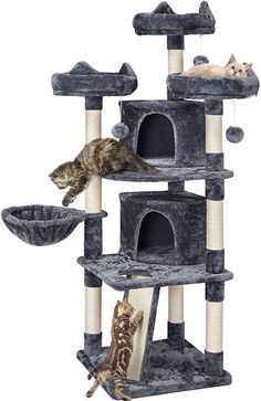 two cats are playing on the cat tree