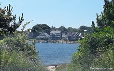 a lake surrounded by lots of trees and houses