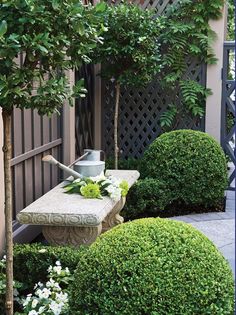 a garden with hedges and potted plants