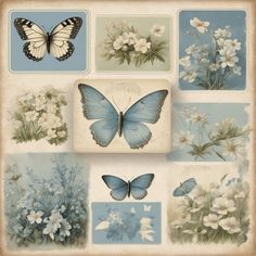 butterflies and flowers are shown in this vintage style photo book page with an old - fashioned frame