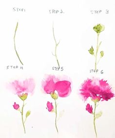 four different types of pink flowers on a white background with the words step by step written below