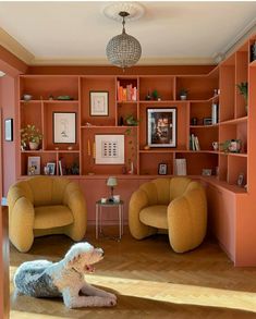 a dog laying on the floor in a living room with orange walls and shelving