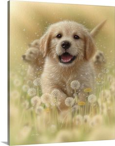 a dog that is standing in the grass with dandelions around it and looking at the camera