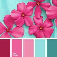 pink and blue color scheme with flowers