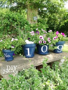 an instagram page with flowers in blue pots