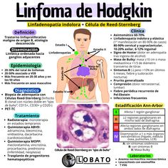 an info sheet with information about the different types of hodginia in human body