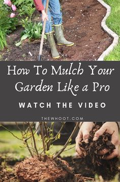 a person digging dirt into a garden with text overlay that reads how to mulch your garden like a pro watch the video