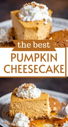 pumpkin cheesecake with whipped cream on top and the best pumpkin cheesecake in the world