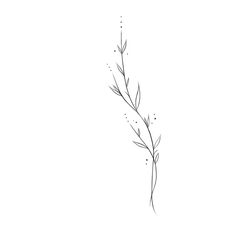 Dainty Greenery Tattoo, Long Side Tattoo, Plant Veins Tattoo, Greek Simple Tattoo, Vine Outline Tattoo, Plant Tattoo Ideas Simple, Vertical Tattoos For Women Arm, Leaf Tattoo Fine Line, Fern Fine Line Tattoo