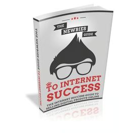 the newbies guide to internet success