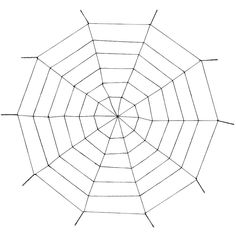 a spider web is shown in black and white