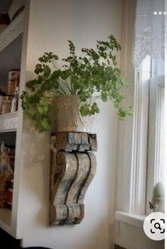 a potted plant sitting on top of a wooden shelf