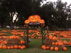 pumpkins and hay bales are arranged on the lawn