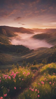 the sun is setting over some hills with flowers on them and fog in the air