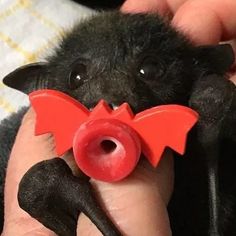 a person holding a toy bat with its mouth open and eyes wide open, in the palm of their hand