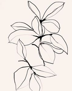 a black and white drawing of some leaves