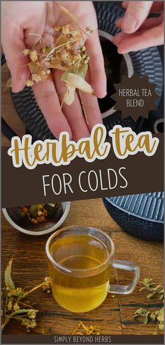 a cup of tea with herbs in it and the words, herb tea for colds