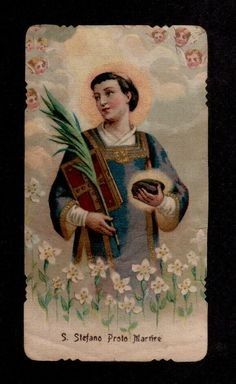 an image of st seffnano proto marine with flowers