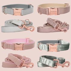 four different colored leashs with metal buckles on each side and one is pink, white